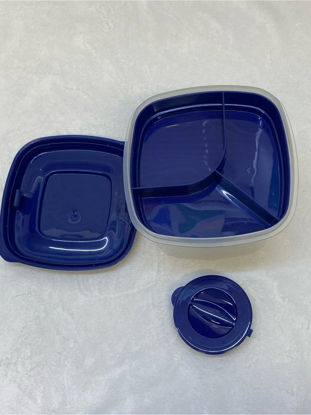 Fit & Fresh plastic sectional food storage container with a blue lid lunchbox